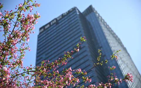 在服务区域，感受“花的海洋”